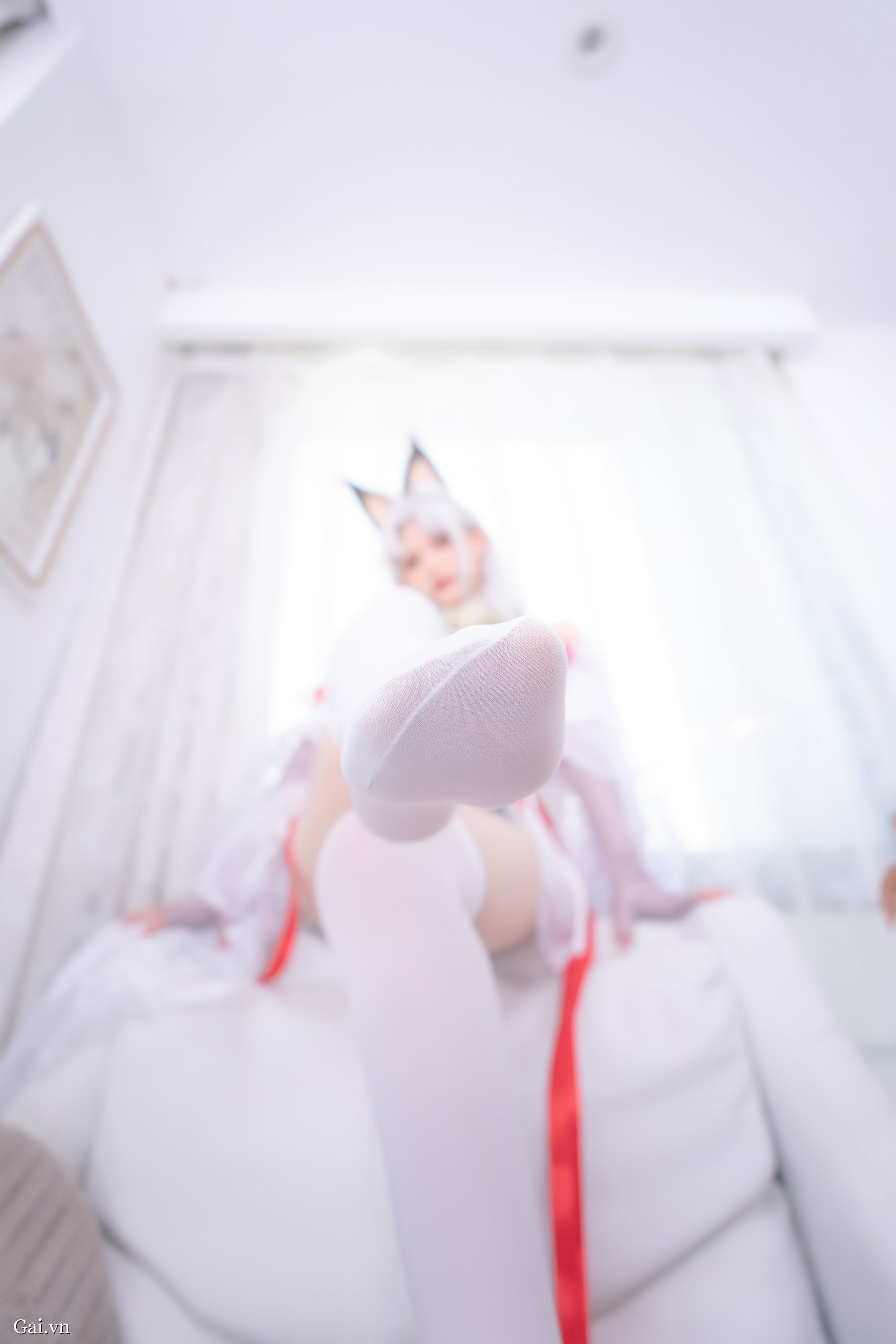 华体会体育直播讲解